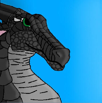 (art by @Rainwingwolf on scratch)